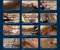 Preview: 10 l Botament Renovation MS10 Injektionscreme / Silancreme zur Horizontalsperre
