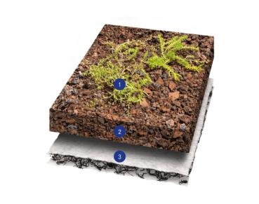 1 Gründachpaket Komlett Paket mit Zubehör für 10m² (mit Pflanzenmix)